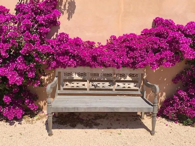 Finca El Idilio 세스 살리네스 0*,  스페인