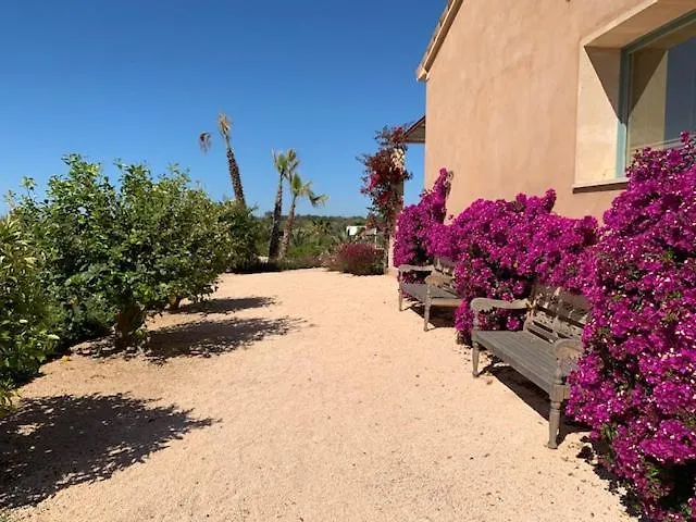 Finca El Idilio セス・サリネス ヴィラ